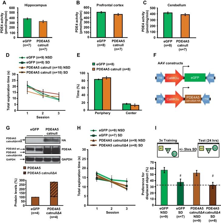 Figure 5—figure supplement 1.