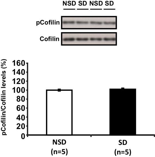 Figure 3—figure supplement 1.