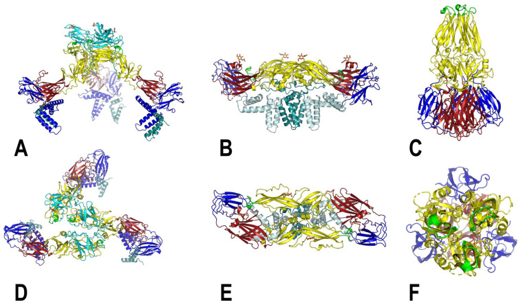 Figure 2