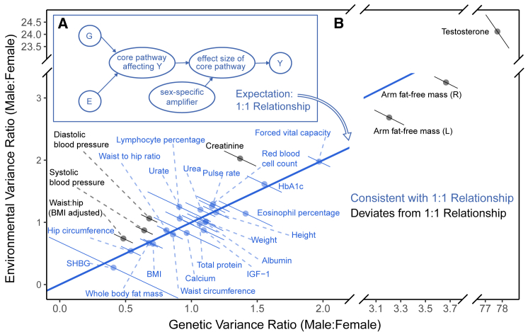 Figure 6