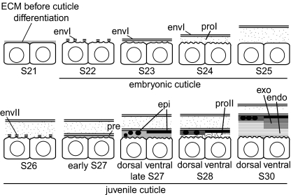 Fig. 7