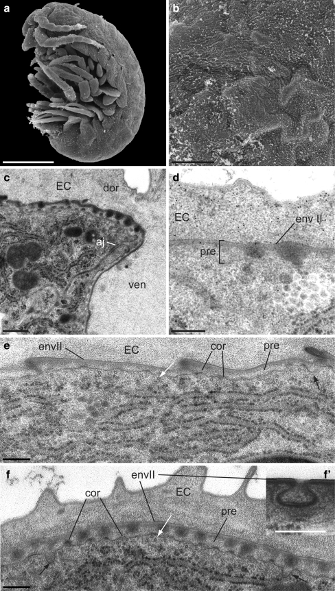 Fig. 5