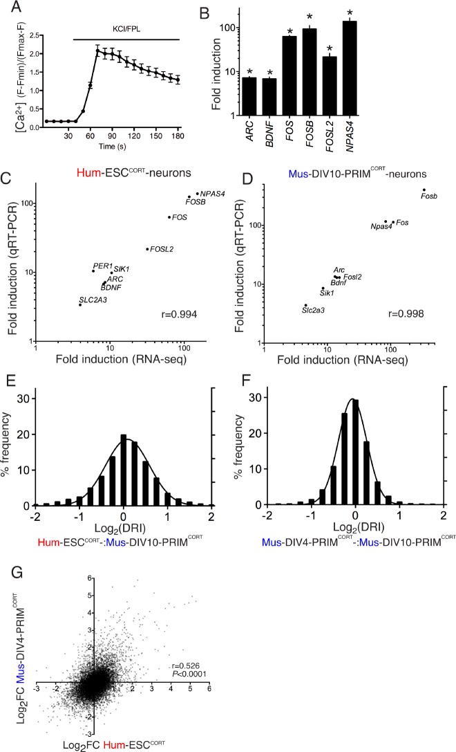 Figure 1—figure supplement 1.