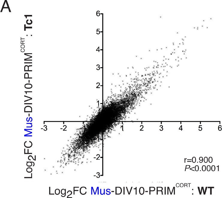 Figure 3—figure supplement 1.