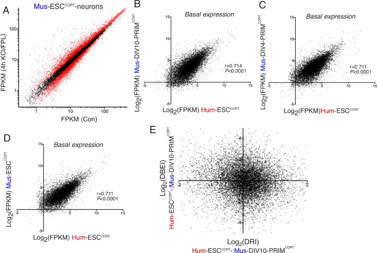 Figure 2—figure supplement 1.