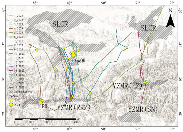 Figure 2