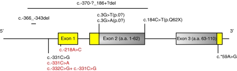 Fig. 3