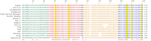 Fig. 4