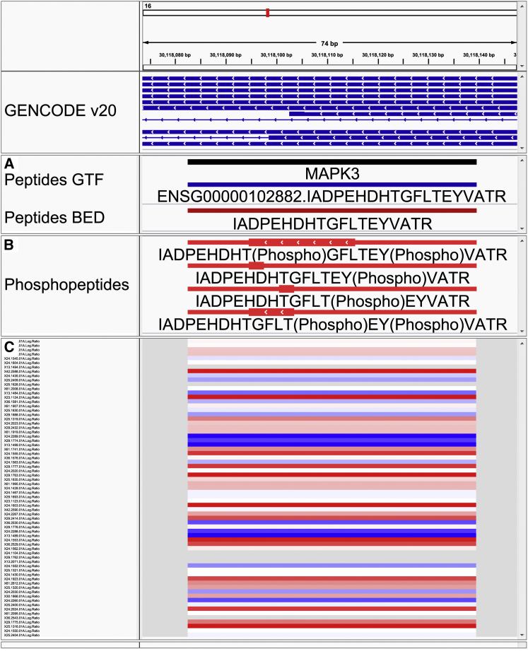 Figure 2