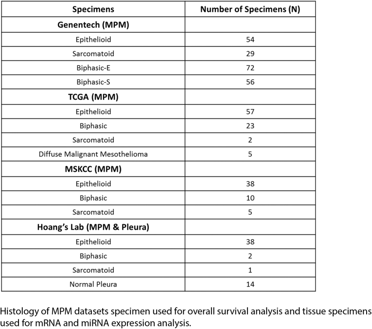 Supplementary Table S1