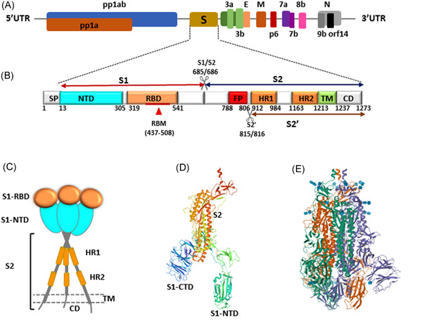 Figure 2