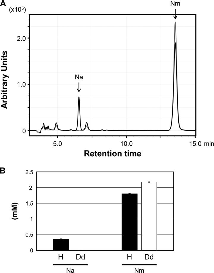 FIG 4