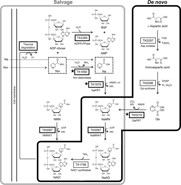 FIG 5