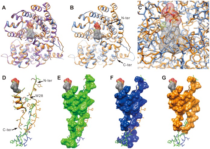 Figure 11