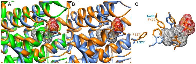 Figure 10