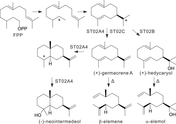 Figure 5