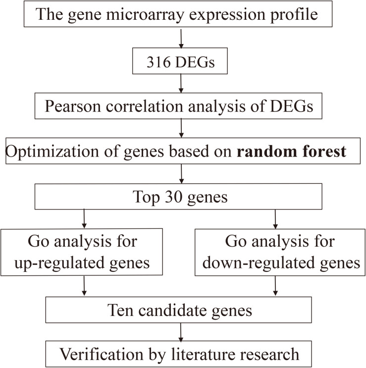 FIGURE 1