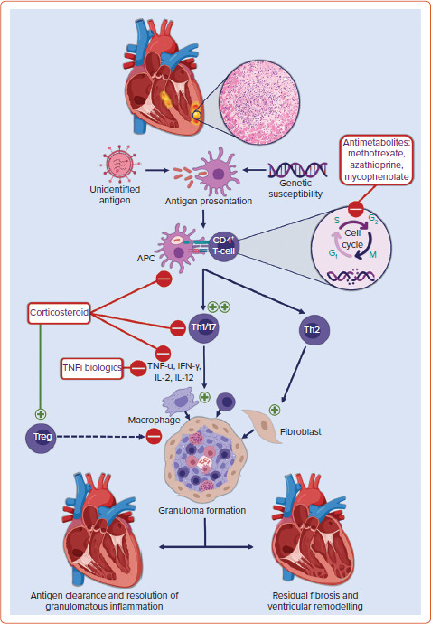 Figure 1: