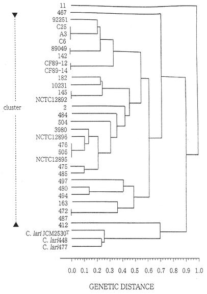 FIG. 1.