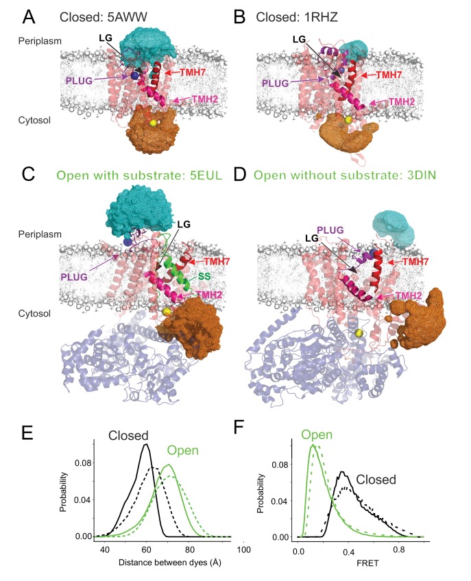 Figure 1—figure supplement 1.