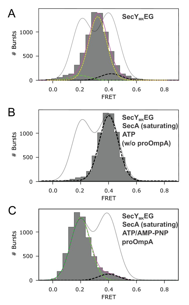 Figure 2—figure supplement 1.