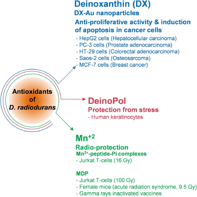 Fig 4