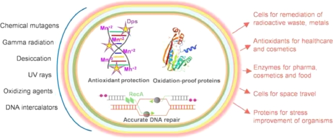 Image, graphical abstract