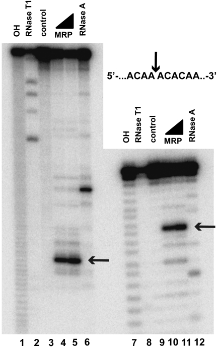 FIGURE 7.