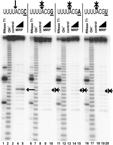 FIGURE 4.