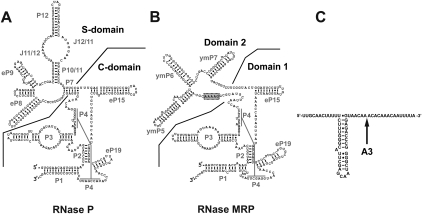 FIGURE 1.