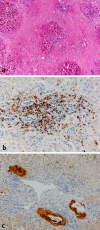Fig. 1