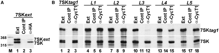 Figure 7.