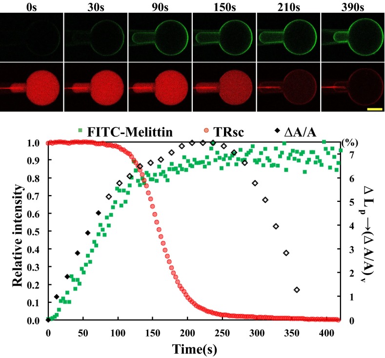 Fig. 1.