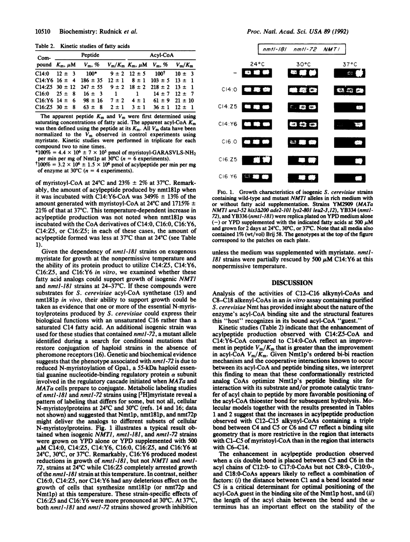 10510