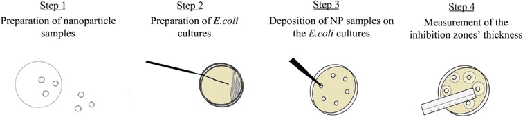 Graphical abstract