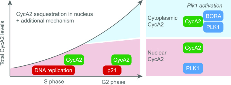 Figure 7.