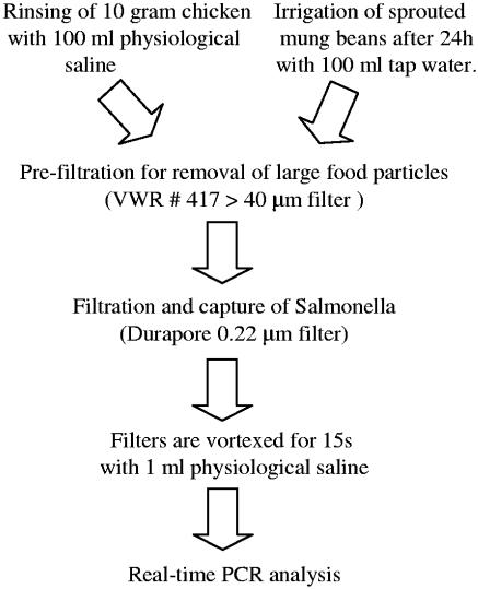 FIG. 1.