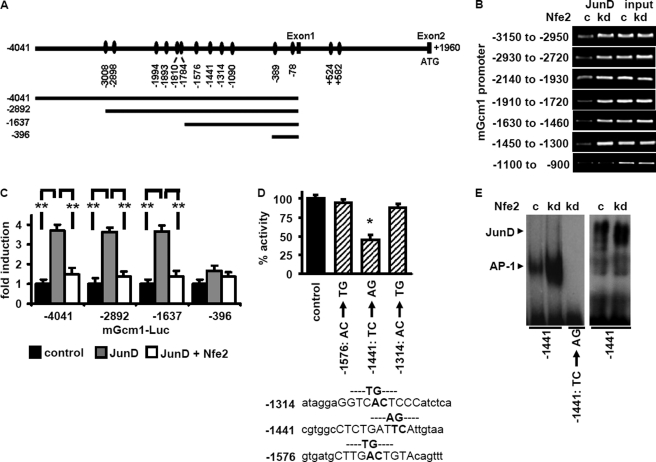 FIGURE 4.