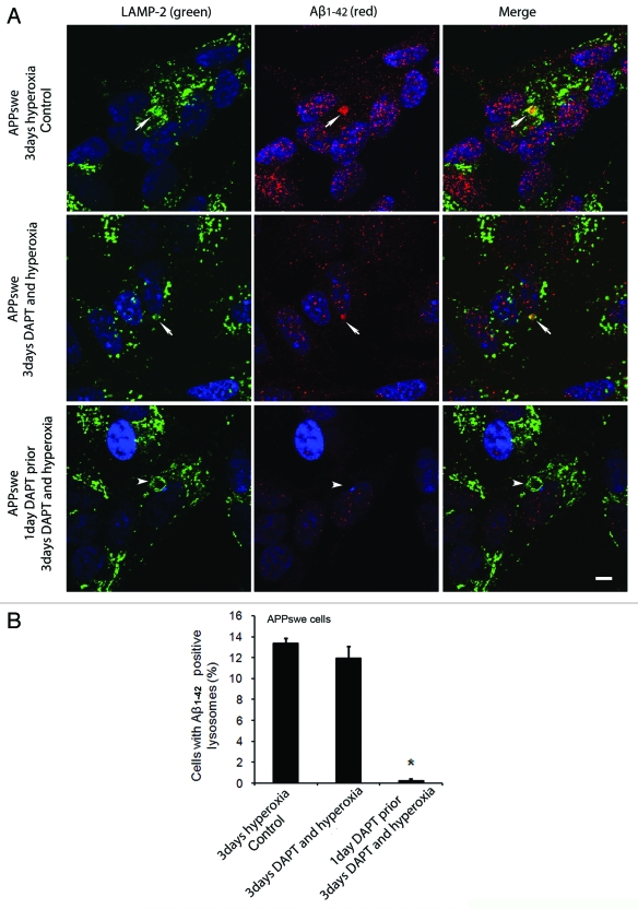 Figure 10 (See opposite page).