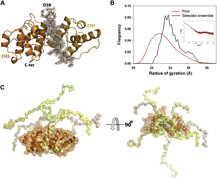 Figure 5