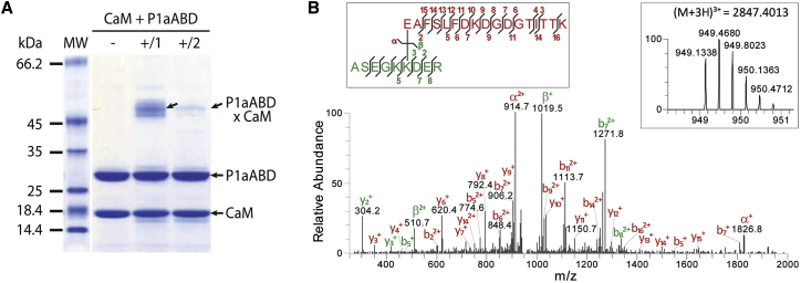 Figure 2