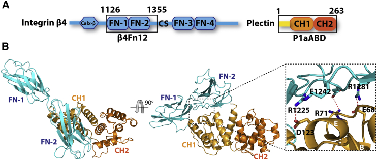 Figure 6