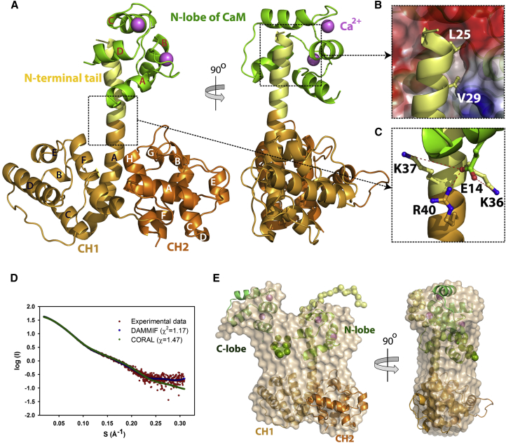 Figure 4