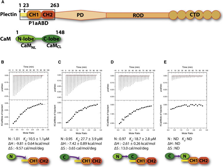 Figure 3