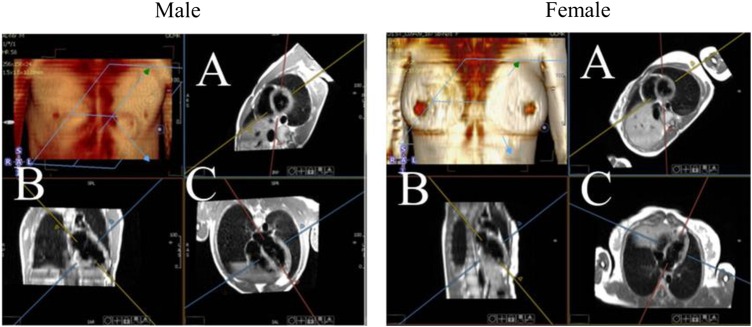 Figure 2