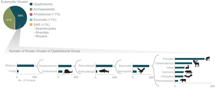 Figure 2—figure supplement 1.