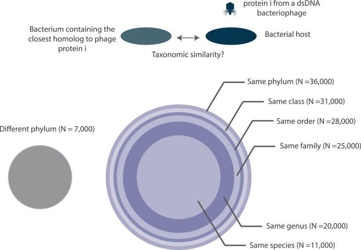 Figure 10.