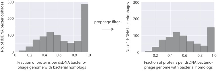 Figure 10—figure supplement 1.