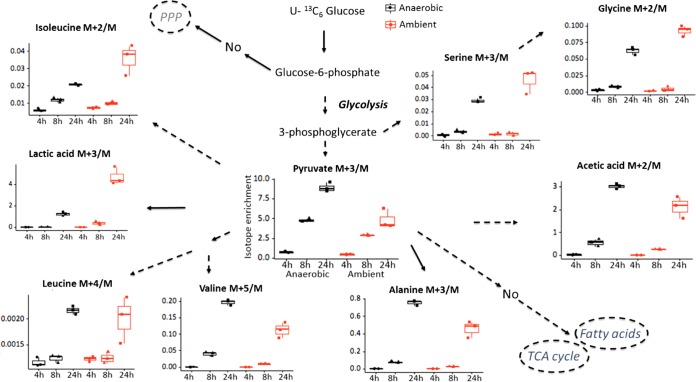 FIG 1 