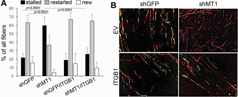 Figure 6: